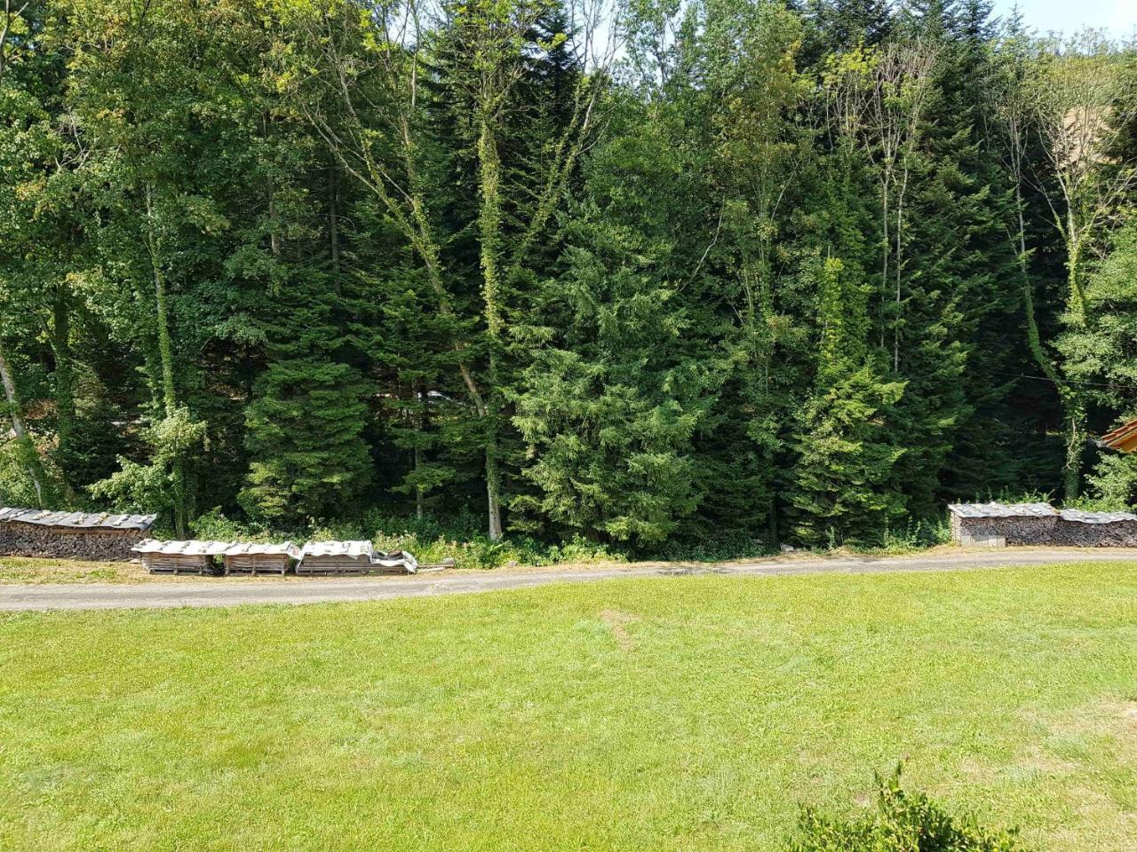 Spinnertonihof Bad Peterstal-Griesbach Zewnętrze zdjęcie